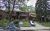 384 Armadale Ave Toronto.jpg