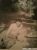 Dennis William Heard and son Tim J Heard.jpg