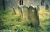 Grantham headstones at Londesborough.jpg