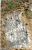 Mary Roblin nee Shortt Grave.jpg