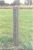 Matilda Roblin 1807-1819 Tombstone.jpg