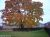 McNaughton 045.jpg