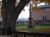 McNaughton 046.jpg