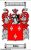 Robin Coat of Arms.jpg