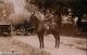 Ryeland.I4340.jpg