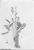 Sam Kinnear May 1938.jpg