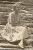 Vivian Florence ROBLIN.jpg