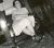 mable Ruttan.jpg